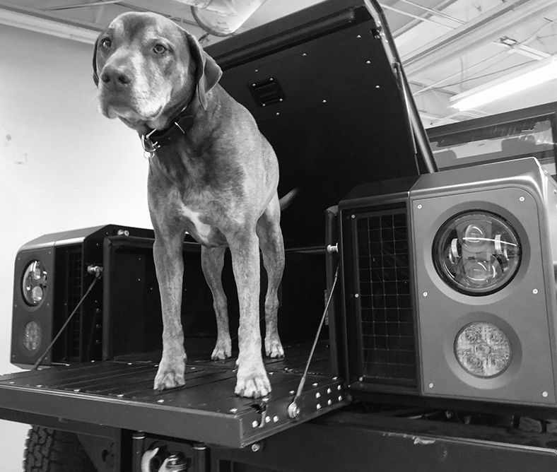 electric vehicles, electric vehicle, electric 4x4 truck, electric 4x4 truck, electric 4 wheel drive truck, ev truck, ev pickup, new electric truck, all electric truck, bollinger motors, b1, b2, bollinger b1, overland, 4x4, ev, design, off road, technology, electric truck, electric pickup, electric pickup truck, electric pick up truck, electric powered truck, electric powered pickup truck, off roading, pure detroit, motor city, detroit, trucks, electric 4x4, electric suv, bollinger b1 price, bollinger, electric off road vehicle, bollinger truck, bollinger suv